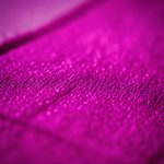 065-DSC_1294
